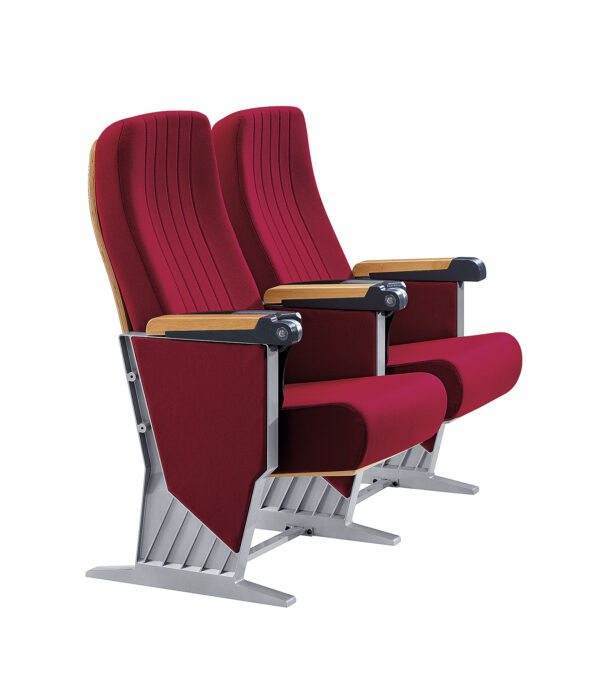 Two Seaters Auditorium Chair W/O Writing Pad - Image 2