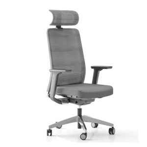 Executive Mesh Chair In Office
